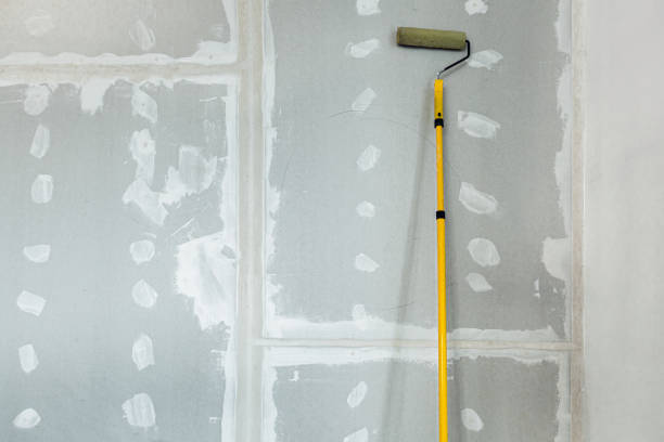 Best Comprehensive Air Testing for Mold Contaminants  in West Monroe, LA