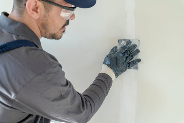 Best Environmental Consulting for Mold Prevention  in West Monroe, LA