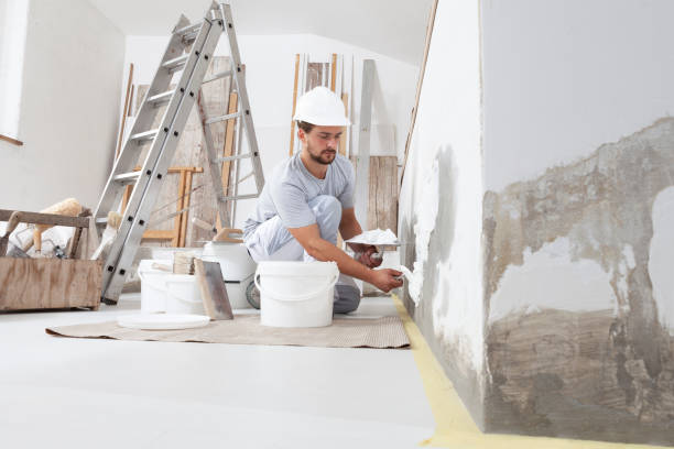 Best Mold-Related Health Consultation  in West Monroe, LA