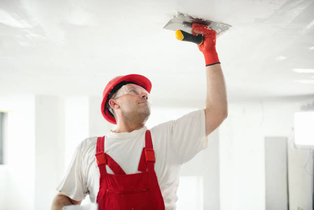Best Mold Remediation for Vacation Homes  in West Monroe, LA