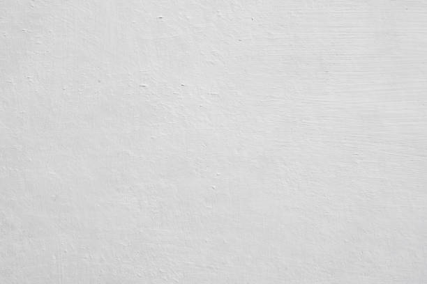 Mold Remediation for Vacation Homes in West Monroe, LA