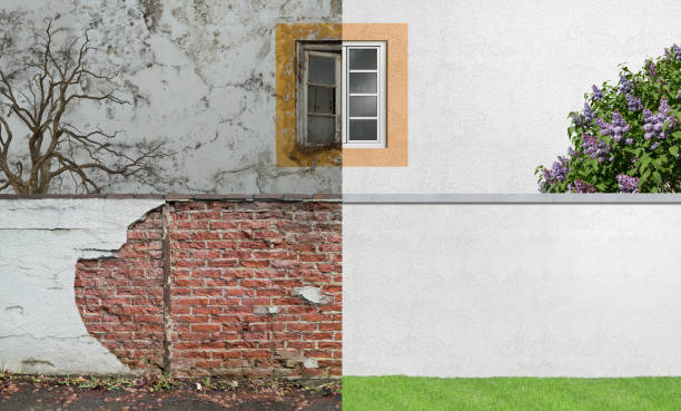 Reliable West Monroe, LA Mold Removal Solutions
